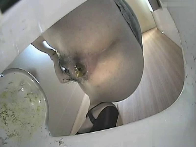 Japanese toilet voyeur. Bottom view excretion Uncensored [SD] 2024 (BFJP-93)
